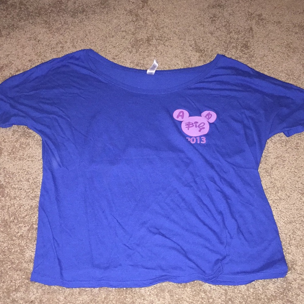 disneyland alpha phi big little reveal top